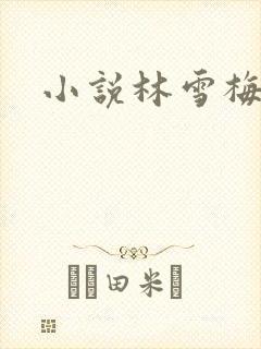 小说林雪梅