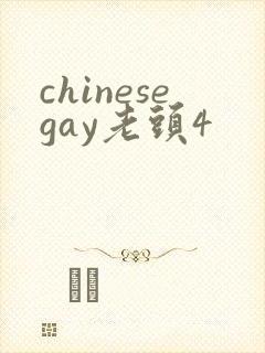 chinesegay老头4