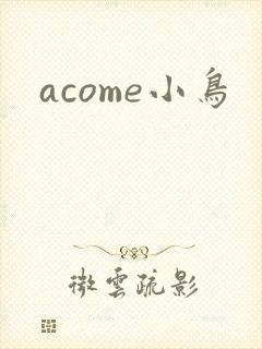 acome小鸟