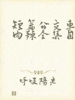 短篇公交车高h肉辣全集目录