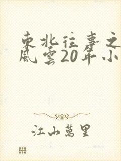 东北往事之黑道风云20年小说