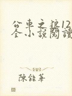公车之狼12集全小说阅读
