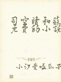 司空靖和苏月汐免费的小说笔趣阁