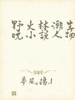 野火林潮生林晚晚小说人物野火