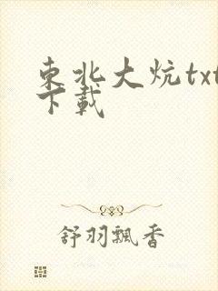 东北大炕txt下载