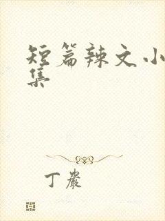 短篇辣文小说合集