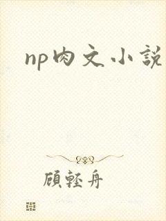 np肉文小说