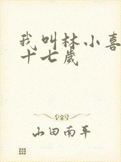 我叫林小喜今年十七岁