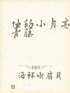 他的小月亮by青藤