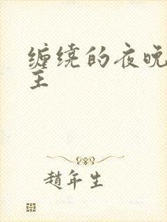 缠绕的夜晚双男主