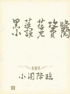 黑莲花攻略手册小说免费阅读全文