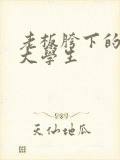 老板胯下的秘书大学生