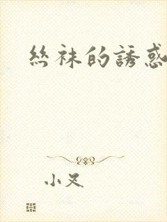 丝袜的诱惑小说