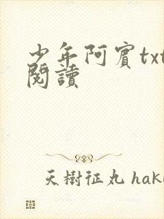 少年阿宾txt阅读