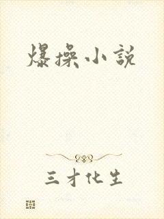 爆操小说