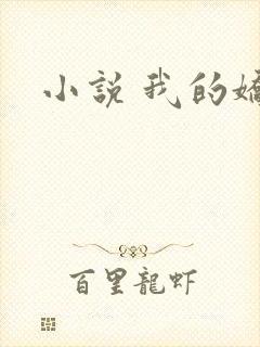 小说 我的娇妻