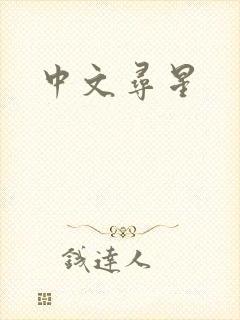 中文寻星