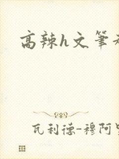 高辣h文笔趣阁