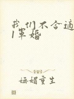 我们不合适1v1军婚