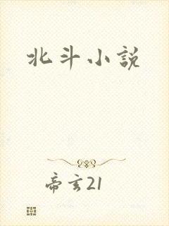 北斗小说