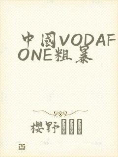中国VODAFONE粗暴