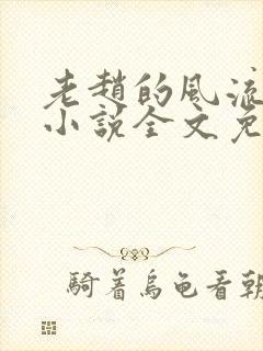 老赵的风流人生小说全文免费阅读