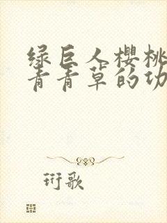 绿巨人樱桃荔枝青青草的功效