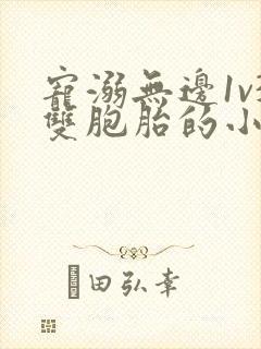 宠溺无边1v3双胞胎的小说