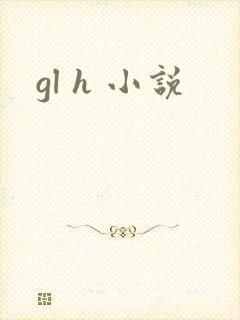 gl h 小说