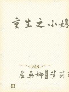 重生之小媳妇