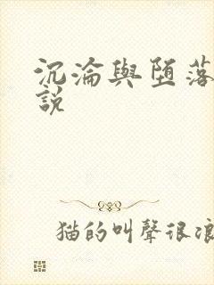 沉沦与堕落的小说