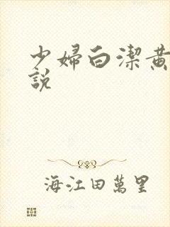 少妇白洁黄色小说