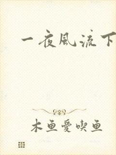一夜风流下载
