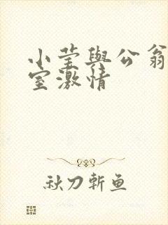 小莹与公翁办公室激情