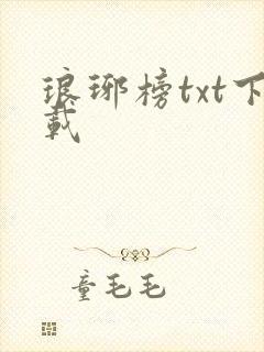 琅琊榜txt下载