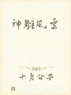 神雕风云