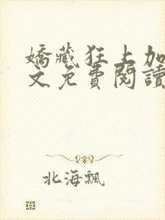 娇藏狂上加狂全文免费阅读笔趣阁