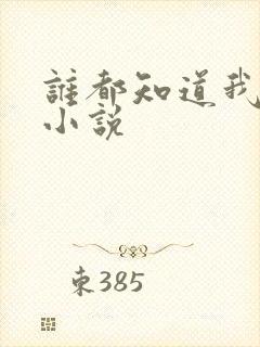 谁都知道我爱你小说