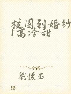 校园到婚纱1V1高冷甜