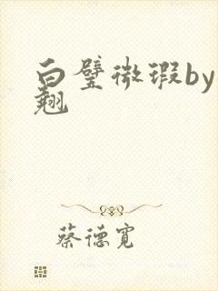 白璧微瑕by连翘