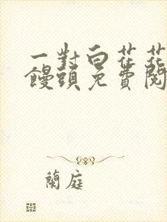 一对白花花的大馒头免费阅读