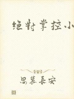 绝对掌控小说
