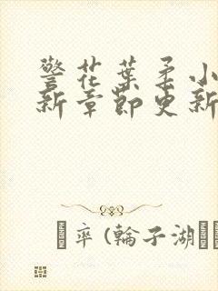 警花叶柔小说最新章节更新