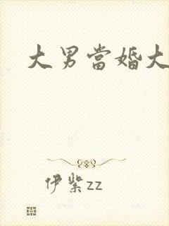 大男当婚大结局