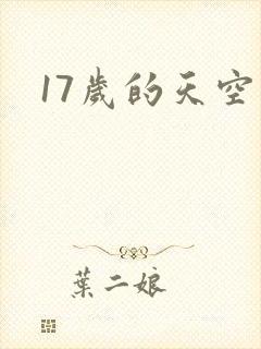 17岁的天空