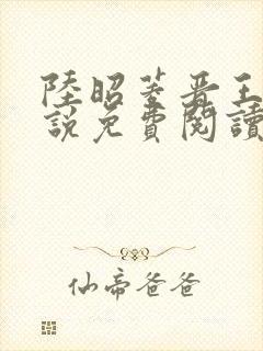 陆昭菱晋王的小说免费阅读