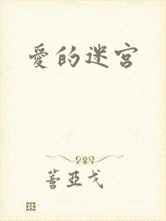 爱的迷宫
