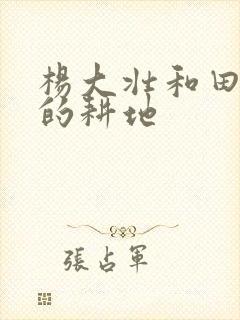 杨大壮和田桂花的耕地