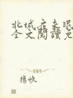 北城夜未眠小说全文阅读免费