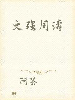 文强周涛